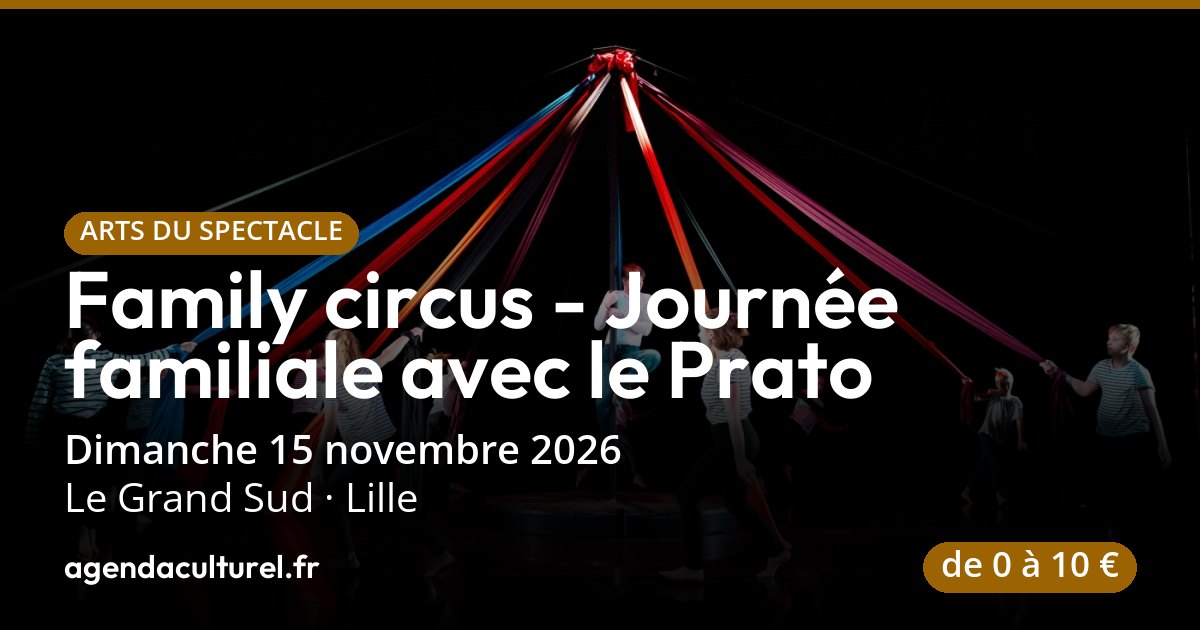Spectacle de cirque familial à Lille, 15 nov. 2026