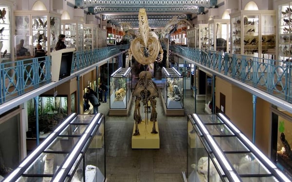 Musée d'histoire naturelle de Lille