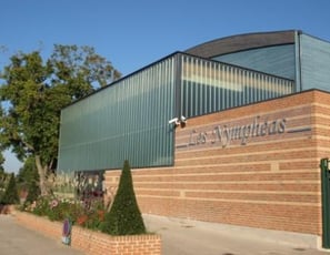 Les nympheas