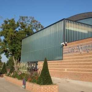 Les nympheas