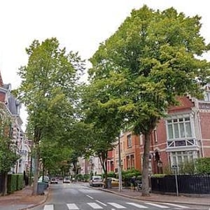 MJC de Croix