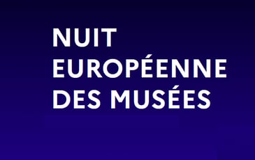 Nuit des musées à Lille
