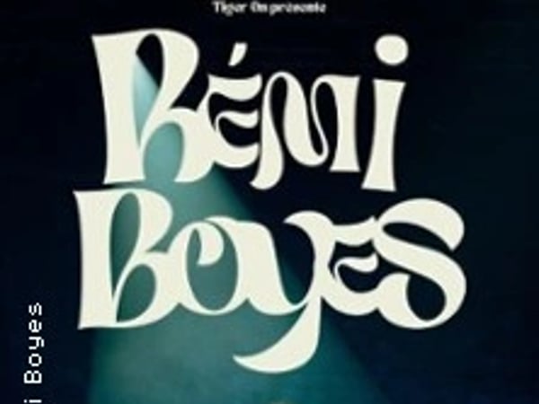 Rémi Boyes, Bombus Terrestris V2