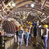 Découverte de l'univers de la mine