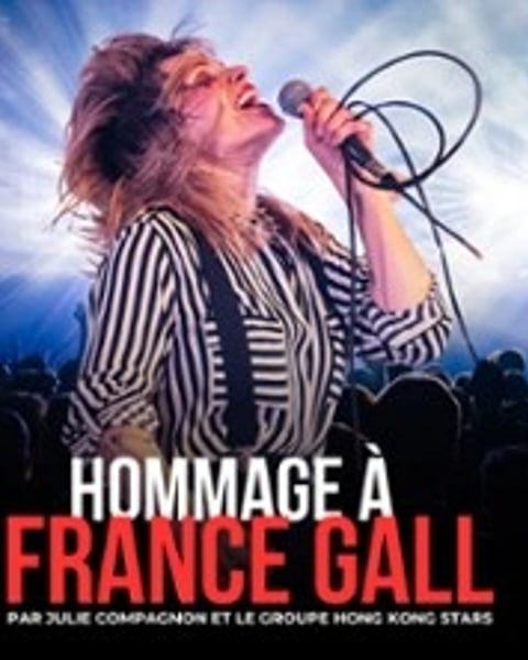Hommage à France Gall