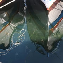 Traversées