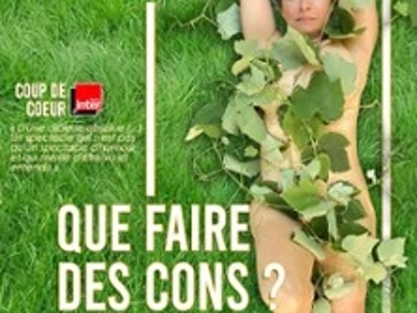 Sandra Colombo, Que faire des cons ?