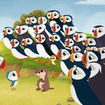 Cinéfamille : Nouveaux copains à Puffin Rock