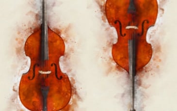 Contrebasses en scène !