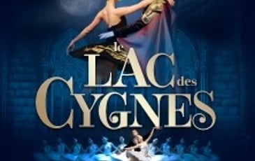 Le Lac des cygnes, International Festival Ballet