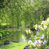 Visite guidée Le parc Barbieux en photographies