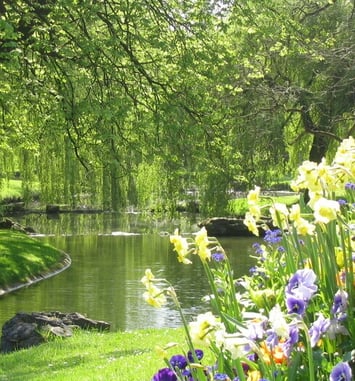 Visite guidée Le parc Barbieux en photographies