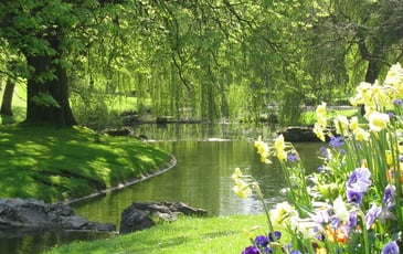 Visite guidée Le parc Barbieux en photographies