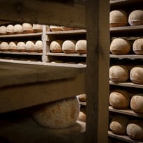 Visite guidée de la maison César Losfeld