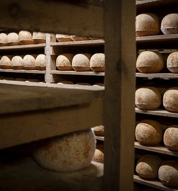 Visite guidée de la maison César Losfeld
