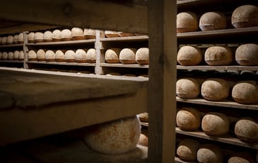 Visite guidée de la maison César Losfeld