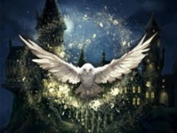 La Symphonie Magique de Poudlard