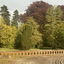Visite d'un parc avec des arbres remarquables (7 hectares) et de l'intérieur du château de Rametz