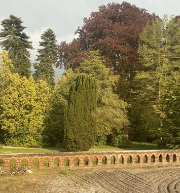 Visite d'un parc avec des arbres remarquables (7 hectares) et de l'intérieur du château de Rametz