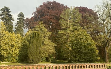 Visite d'un parc avec des arbres remarquables (7 hectares) et de l'intérieur du château de Rametz