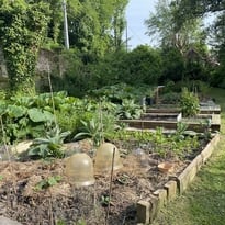 Visite d'un potager en permaculture du château de Rametz