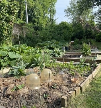 Visite d'un potager en permaculture du château de Rametz