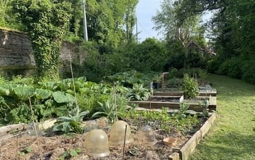 Visite d'un potager en permaculture du château de Rametz