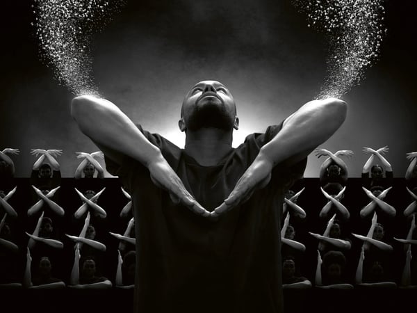 Murmuration Level 2
