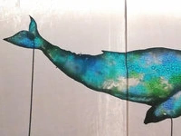 La Baleine Tatouée - Cie du Bonjour