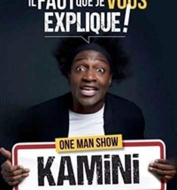 Kamini dans il faut que je vous explique !