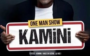 Kamini dans il faut que je vous explique !