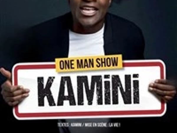 Kamini dans il faut que je vous explique !