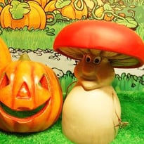 Automne la Course aux Champignons