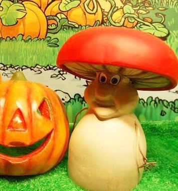 Automne la Course aux Champignons