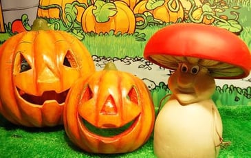 Automne la Course aux Champignons