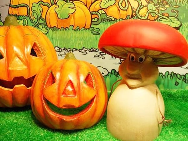 Automne la Course aux Champignons