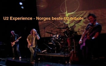 The U2 Experience