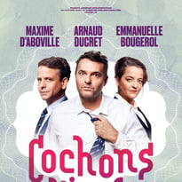 Cochons d'Inde