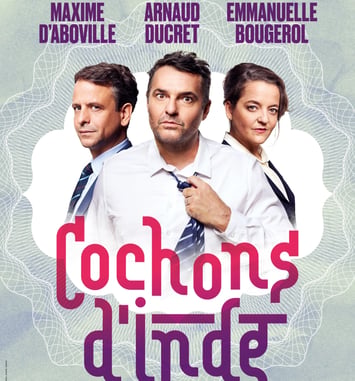 Cochons d'Inde