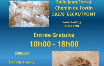 28ème salon international de minéraux et fossiles