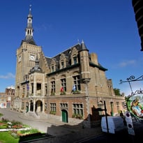 Visite libre de la salle des mariages, du salon d'honneur et de la salle du conseil municipal de l'Hôtel de ville
