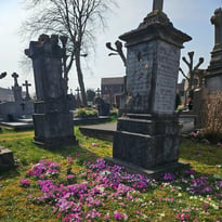 Visite libre de l'exceptionnel cimetière communal