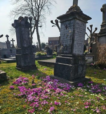Visite libre de l'exceptionnel cimetière communal