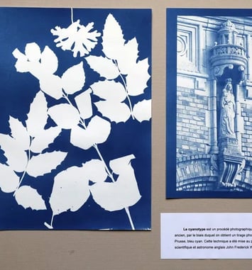 Visite du local du Photo-club de Bailleul et atelier cyanotype