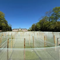 Découverte du parc, du labyrinthe et de la chapelle de l'Établissement public de santé mentale