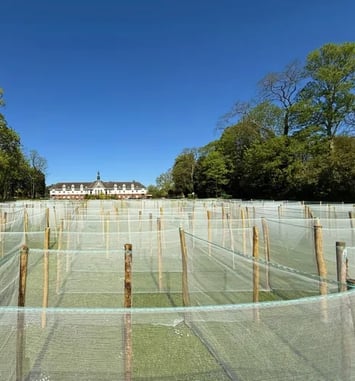Découverte du parc, du labyrinthe et de la chapelle de l'Établissement public de santé mentale