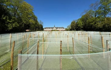 Découverte du parc, du labyrinthe et de la chapelle de l'Établissement public de santé mentale