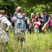 Visite guidée des jardins des plantes médicinales et des plantes sauvages du Conservatoire Botanique National des Hauts-de-France