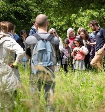 Visite guidée des jardins des plantes médicinales et des plantes sauvages du Conservatoire Botanique National des Hauts-de-France