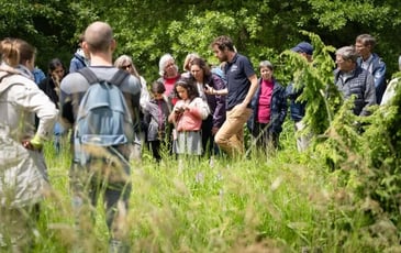 Visite guidée des jardins des plantes médicinales et des plantes sauvages du Conservatoire Botanique National des Hauts-de-France